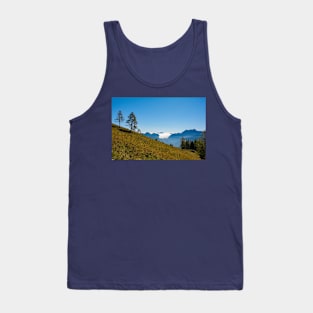 Monte Morgenleit in North Italian Alps Tank Top